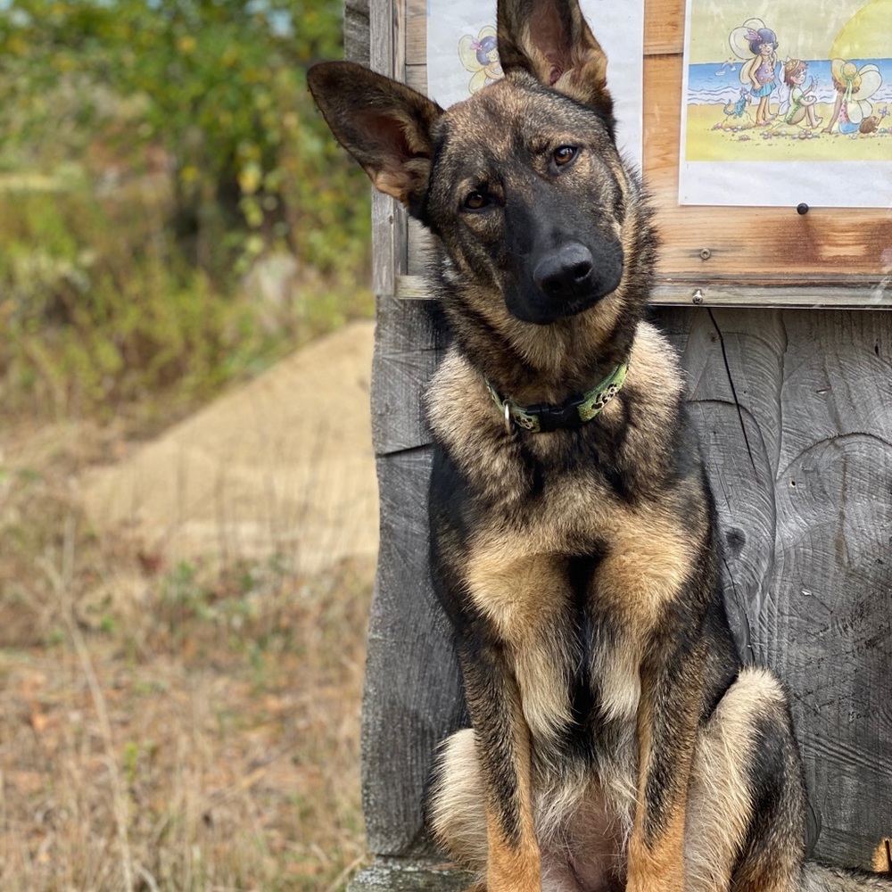 Meet your Posher, Wendy